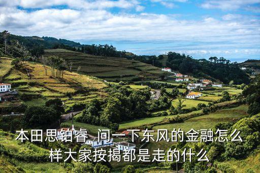 東風(fēng)標(biāo)志金融怎么樣，本田思鉑睿  問一下東風(fēng)的金融怎么樣大家按揭都是走的什么
