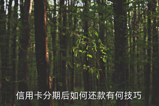 信用卡分期后如何還款有何技巧