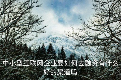 中小型互聯(lián)網(wǎng)企業(yè)要如何去融資有什么好的渠道嗎