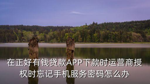 網(wǎng)上貸款要手機(jī)服務(wù)密碼忘了怎么辦，想分期貸款手機(jī)服務(wù)密碼查不到怎么辦