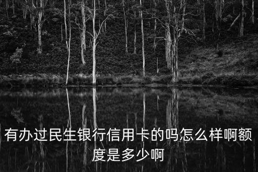 有辦過(guò)民生銀行信用卡的嗎怎么樣啊額度是多少啊