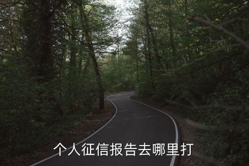 個人征信報告去哪里打