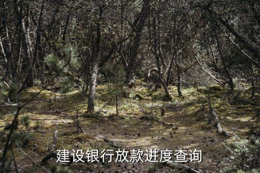 怎么查建行放款進(jìn)度，建設(shè)銀行放款進(jìn)度查詢(xún)