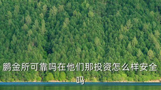鵬金所可靠嗎在他們那投資怎么樣安全嗎