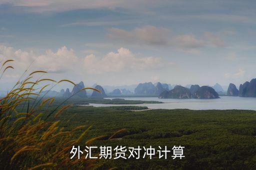 外匯期貨對沖計算