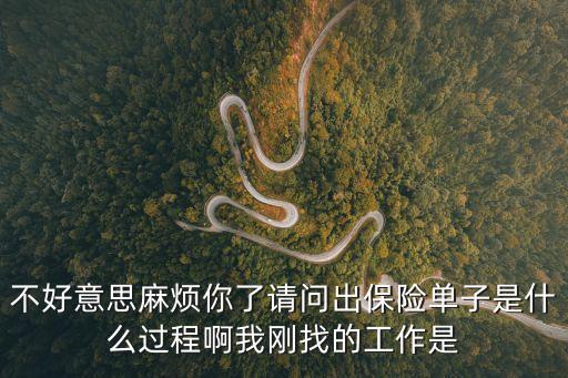 不好意思麻煩你了請問出保險單子是什么過程啊我剛找的工作是