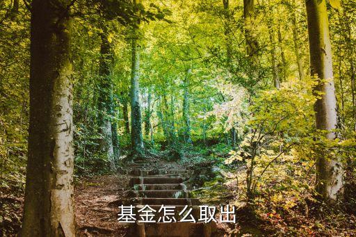 基金怎么取出