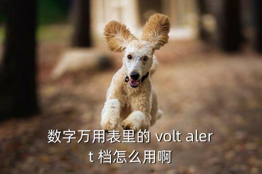 數(shù)字萬(wàn)用表里的 volt alert 檔怎么用啊