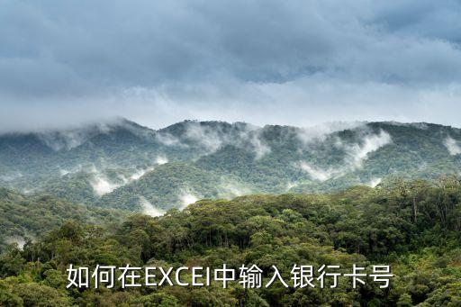 如何在EXCEI中輸入銀行卡號
