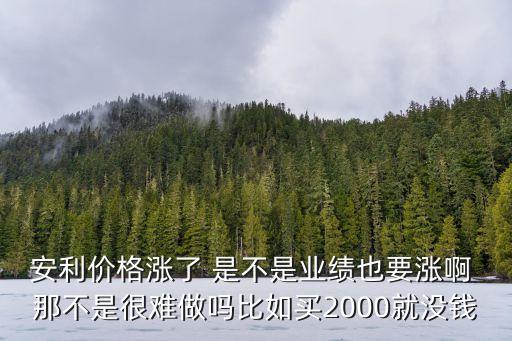 安利價格漲了 是不是業(yè)績也要漲啊 那不是很難做嗎比如買2000就沒錢