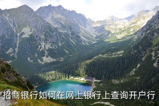 怎么查招行卡的開戶行，招商銀行如何在網(wǎng)上銀行上查詢開戶行
