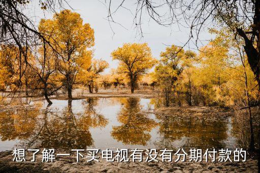 實(shí)體店怎么分期買電視，液晶電視可以分期付款嗎