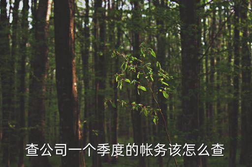 查公司一個(gè)季度的帳務(wù)該怎么查