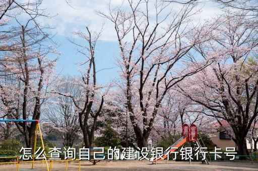 怎么查詢自己的建設(shè)銀行銀行卡號(hào)
