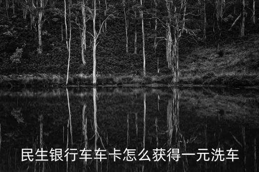 民生銀行車車卡怎么獲得一元洗車