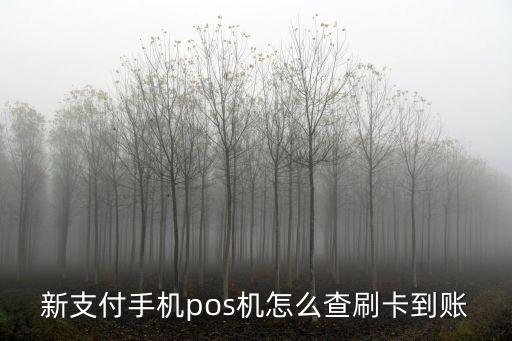 新支付手機(jī)pos機(jī)怎么查刷卡到賬