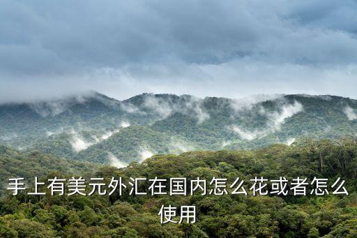 手上有美元外匯在國內(nèi)怎么花或者怎么使用