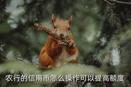 農(nóng)行的信用幣怎么操作可以提高額度
