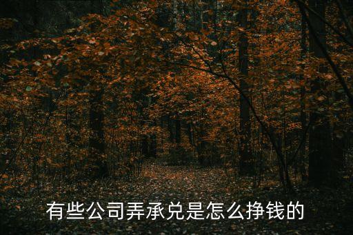 有些公司弄承兌是怎么掙錢的
