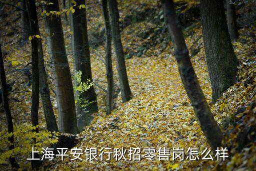 上海平安銀行待遇怎么樣，上海平安里面工資怎么樣