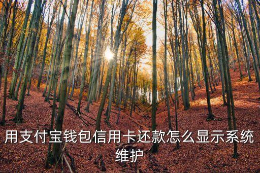 用支付寶錢包信用卡還款怎么顯示系統(tǒng)維護