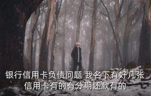 銀行信用卡負(fù)債問題 我名下有好幾張信用卡有的有分期還款有的