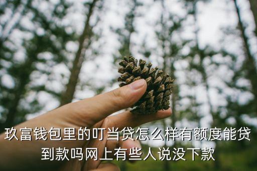 叮當(dāng)借款怎么樣，叮當(dāng)貸審核要多久靠不靠譜啊