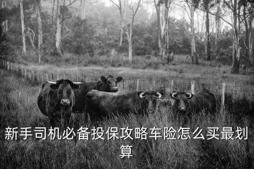 車險(xiǎn)怎么買合適是官網(wǎng)還是電話，網(wǎng)上投保好還是電話投保好