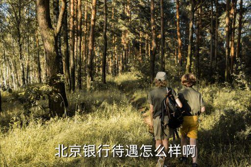 北京銀行待遇怎么樣啊