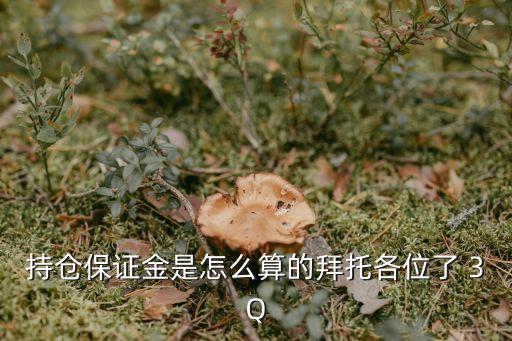 持倉(cāng)保證金是怎么算的拜托各位了 3Q