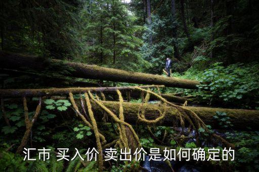 匯市 買(mǎi)入價(jià) 賣(mài)出價(jià)是如何確定的