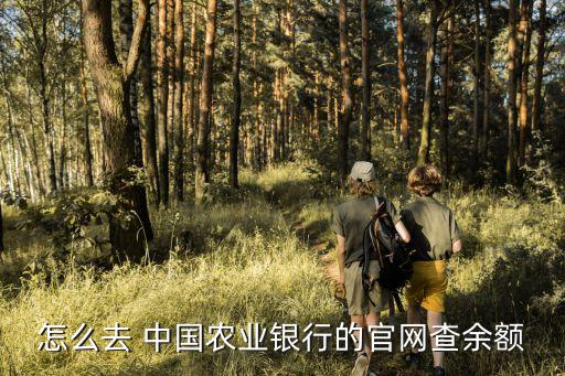 農(nóng)行首頁怎么查余額，怎么在網(wǎng)上查詢農(nóng)行的余額