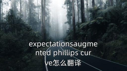 expectationsaugmented phillips curve怎么翻譯