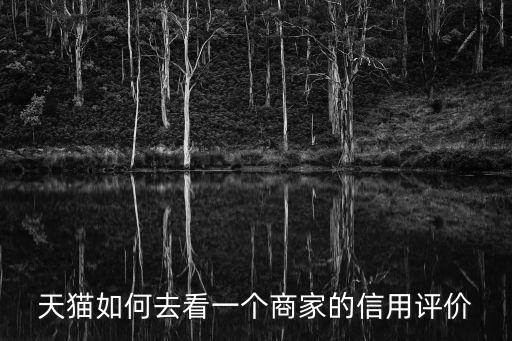 天貓店鋪怎么看信譽，天貓如何去看一個商家的信用評價