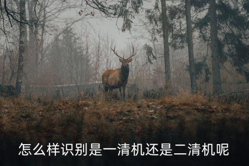 怎么分辨一清和二清機(jī)，誰(shuí)能告訴我怎么區(qū)分一清機(jī)和二清機(jī)