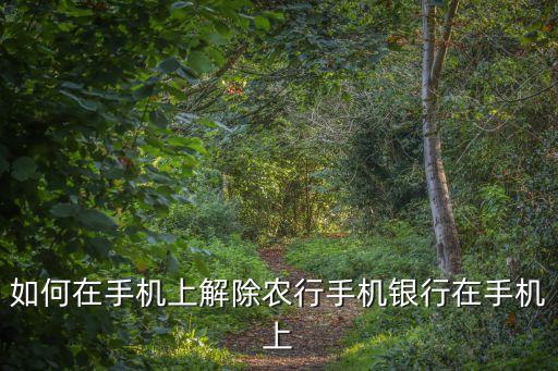 如何在手機(jī)上解除農(nóng)行手機(jī)銀行在手機(jī)上