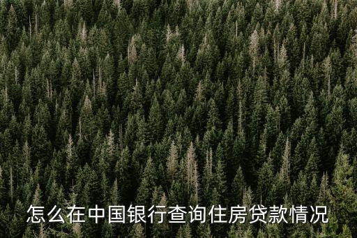怎么在中國銀行查詢住房貸款情況