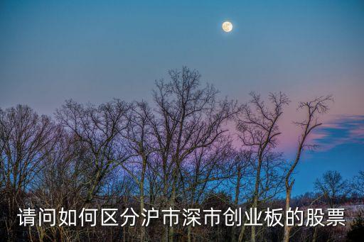 請問如何區(qū)分滬市深市創(chuàng)業(yè)板的股票