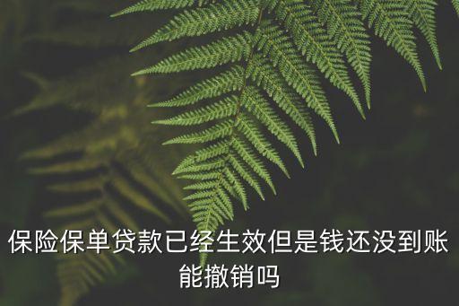 保險單貸款怎么取消，太平洋保單如何取消貸款額度