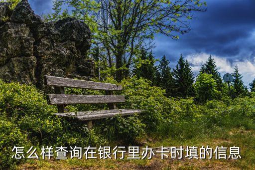 銀行卡卡片信息怎么查，網(wǎng)上怎么查自己的銀行卡信息啊