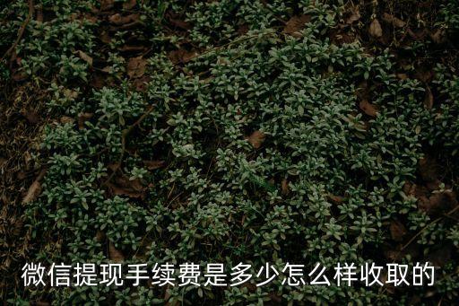 微信提現(xiàn)手續(xù)費是多少怎么樣收取的