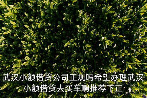武漢小額借貸公司正規(guī)嗎希望辦理武漢小額借貸去買(mǎi)車啊推薦下正