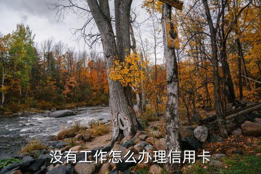 沒工作怎么辦大額信用卡，我沒上班怎么辦信用卡啊