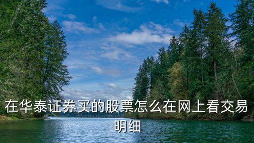 華泰怎么查交易明細(xì)，如何查看成交明細(xì)