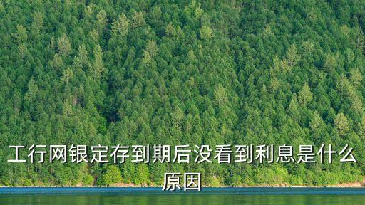 工行網(wǎng)銀定存到期后沒看到利息是什么原因