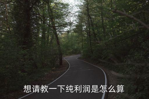 純利潤(rùn)率怎么算，正規(guī)的 純利潤(rùn)百分比 如何計(jì)算詳細(xì)求解謝過(guò)