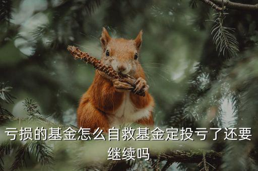 基金定投虧了怎么辦，基金定投收益虧了該怎樣辦