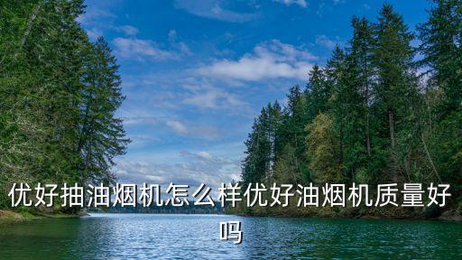 優(yōu)好抽油煙機(jī)怎么樣優(yōu)好油煙機(jī)質(zhì)量好嗎