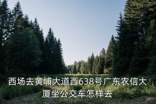 廣東農(nóng)信大廈怎么去，西場去黃埔大道西638號廣東農(nóng)信大廈坐公交車怎樣去