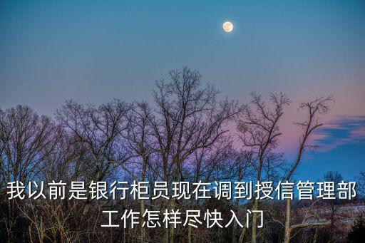 我以前是銀行柜員現(xiàn)在調(diào)到授信管理部工作怎樣盡快入門